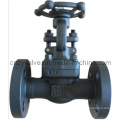 300lb, 1 / 2inch Flangeado Fim Forjado Gate Valve